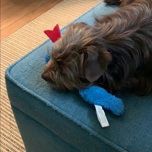 Meet your Posher, Aimee